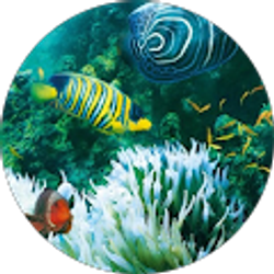 Profile photo of Tiffany S