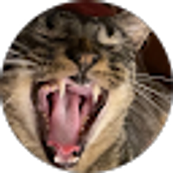 Profile photo of RABBIT 57