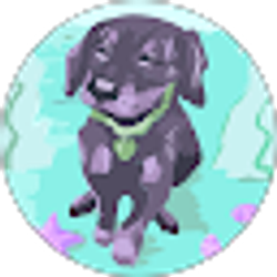 Profile photo of Dina Coutre