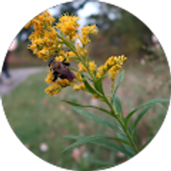 Profile photo of Yvonne Rockwell