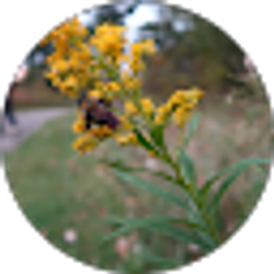 Profile photo of Yvonne Rockwell