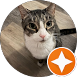 Profile photo of Mariann White