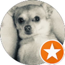 Profile photo of Jessica Carter