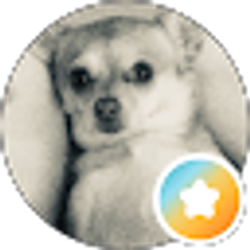 Profile photo of Jessica Carter