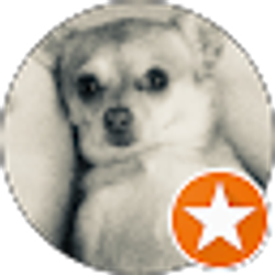 Profile photo of Jessica Carter