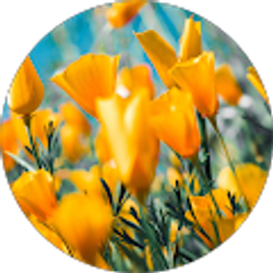 Profile photo of Mary