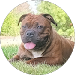 Profile photo of Kathleen Cowley