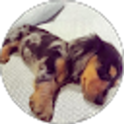 Profile photo of Karen Baker