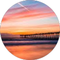 Profile photo of Cody