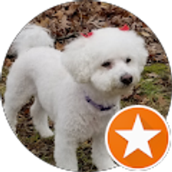 Profile photo of s s