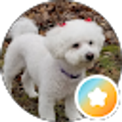 Profile photo of s s