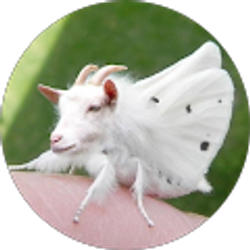 Profile photo of Hanna Mostly