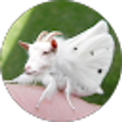 Profile photo of Hanna Mostly