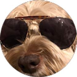 Profile photo of Kevblevin