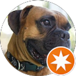 Profile photo of Richard Knapp