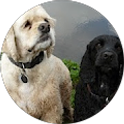 Profile photo of Tim Spengler