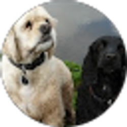 Profile photo of Tim Spengler