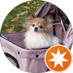 Profile photo of Ophelia Rose de Papillon