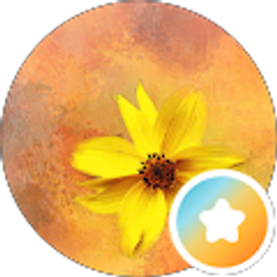 Profile photo of Amanda Frew