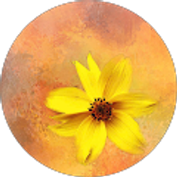 Profile photo of Amanda Frew