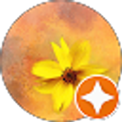 Profile photo of Amanda Frew