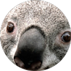 Profile photo of Regina Morgan