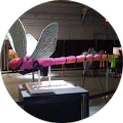 Profile photo of Jenny Gabbard