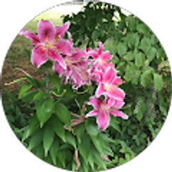 Profile photo of Jennifer Butcher