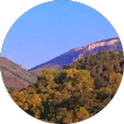 Profile photo of Jim Murphy