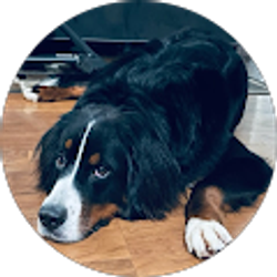 Profile photo of Darlene Carson