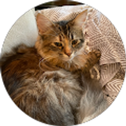 Profile photo of Melinda Guzzardo