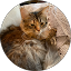 Profile photo of Melinda Guzzardo