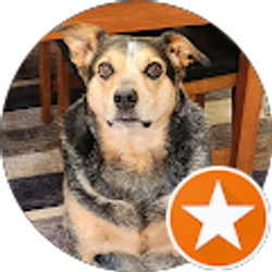 Profile photo of Rickie Smith