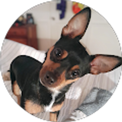 Profile photo of Rob Hays