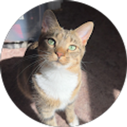 Profile photo of Sophie Malkowski