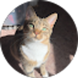 Profile photo of Sophie Malkowski