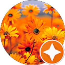 Profile photo of David Katz