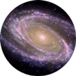 Profile photo of Anthony Garramone