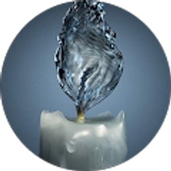 Profile photo of lilly perez