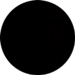 Profile photo of Allison scholten