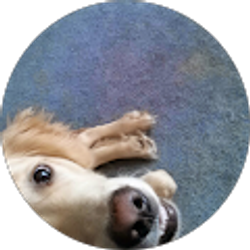 Profile photo of Caitlin Getty (Gettykins)