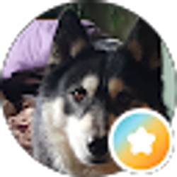 Profile photo of Jey