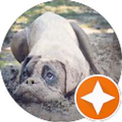 Profile photo of john p