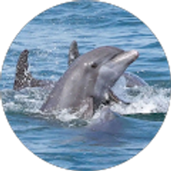 Profile photo of Melody Anders