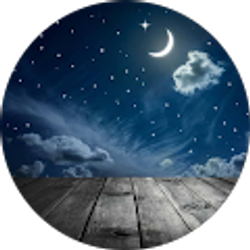 Profile photo of Sheila