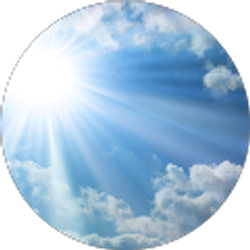 Profile photo of What’s up Doc?