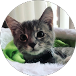 Profile photo of Austin Baker