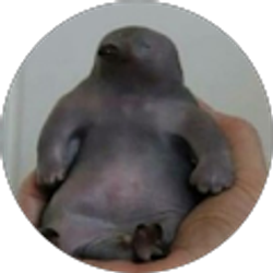 Profile photo of Jonathan Kelpe