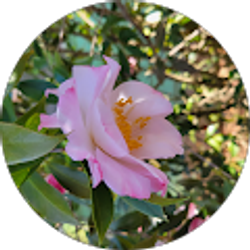 Profile photo of Irene Clai