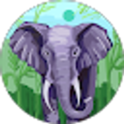 Profile photo of Valentina Reiling